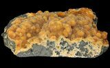 Intense Orange Calcite Crystal Cluster - Poland #94123-1